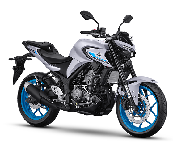 MT 25 ABS